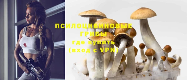 ECSTASY Алексеевка