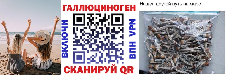 маркетплейс наркотические препараты  ссылка на мегу онион  Нелидово  Псилоцибиновые грибы мухоморы 